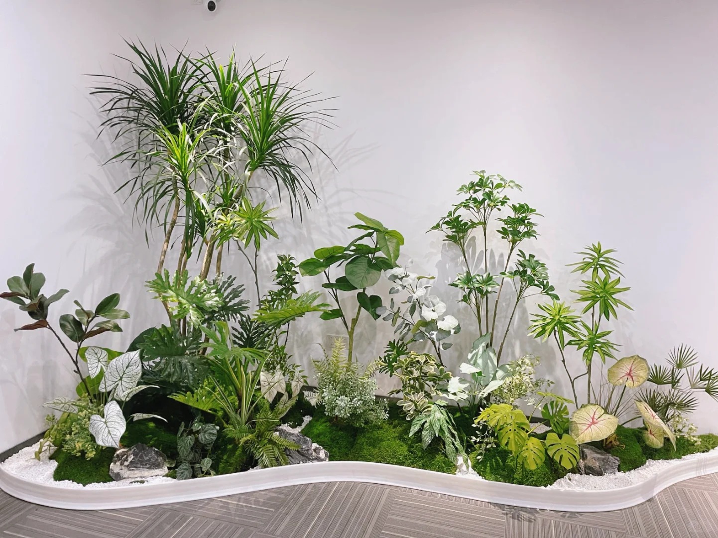 专业花木租赁，为宁波鄞州添绿彩